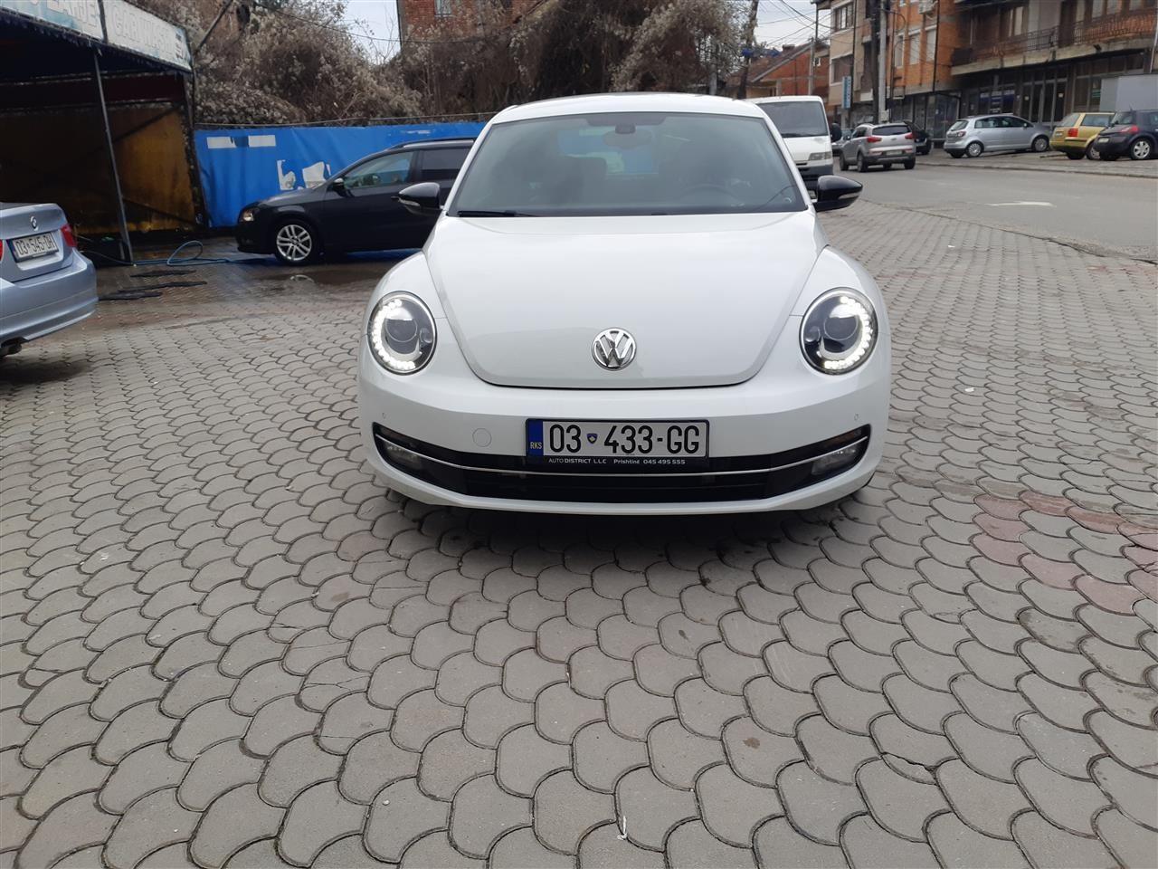Beetle