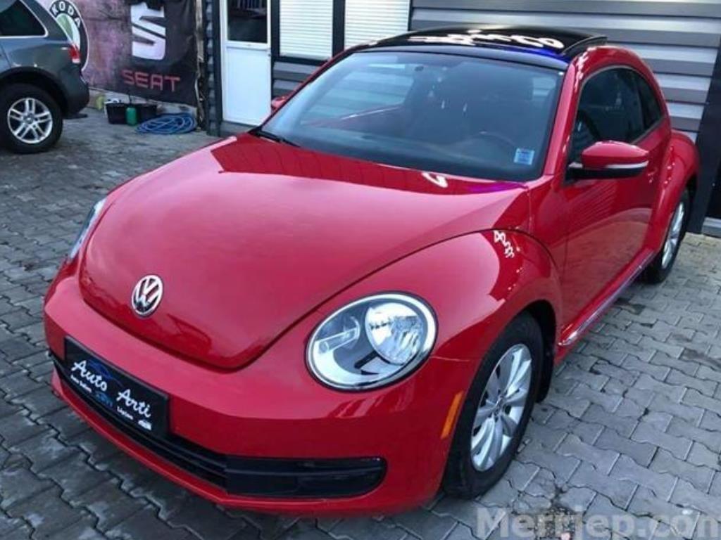 Shitet-beetle-