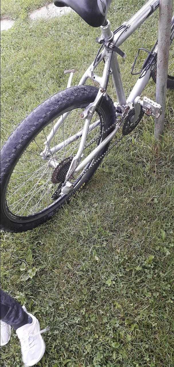 Sprint