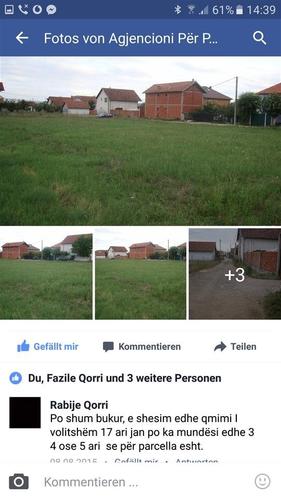 Trull