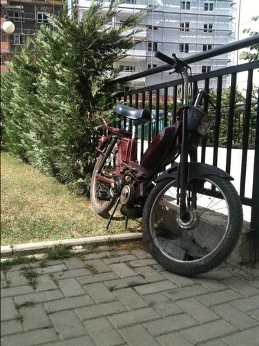 Moped