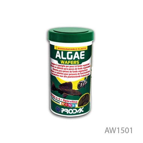 Algae