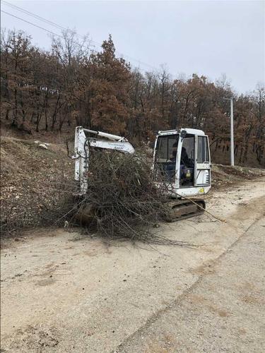 bager kubota