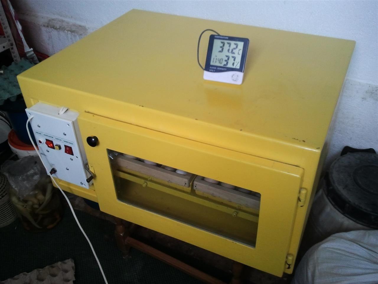 inkubator