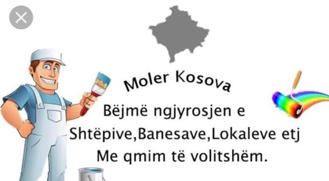 Moler 045535069