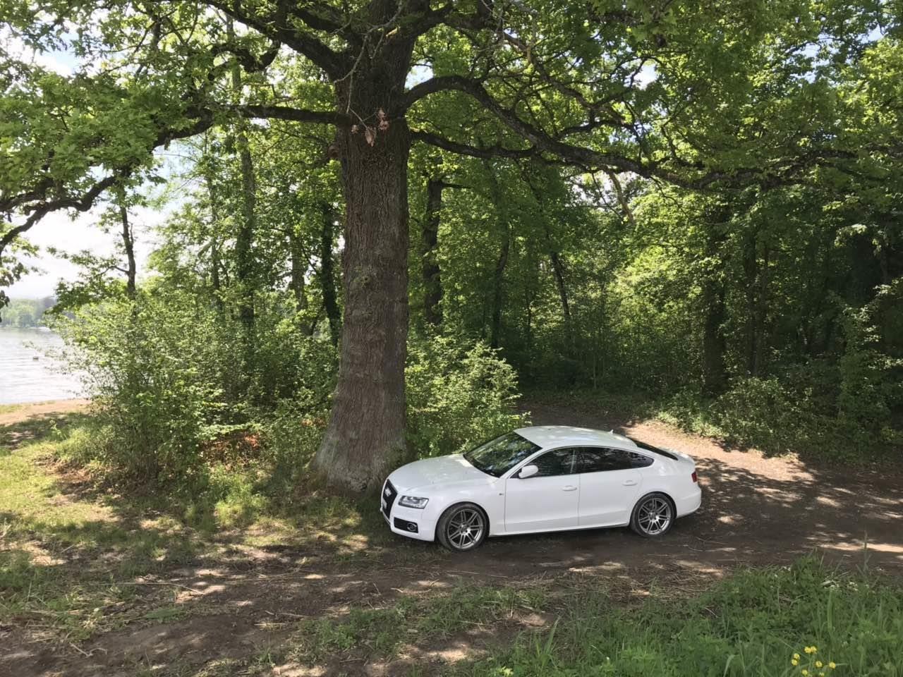Audi-s5
