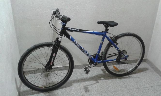Specialized 