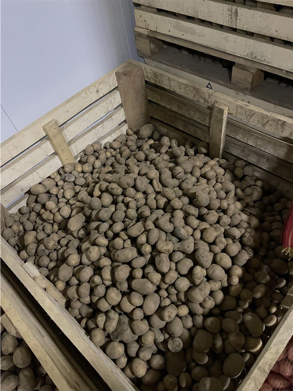 Shitet-far-e-patates-