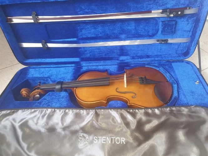 Viola