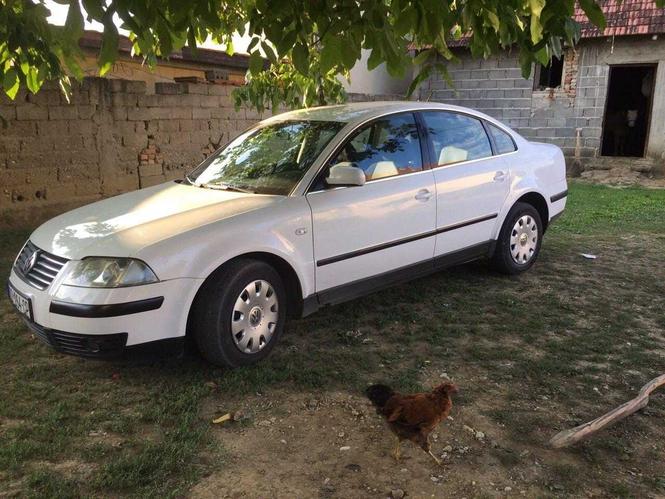 passat