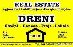 DRENI Patundshmëri