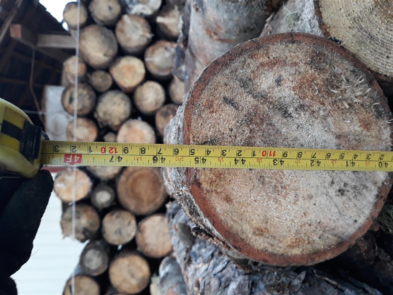 Shiten-drut-