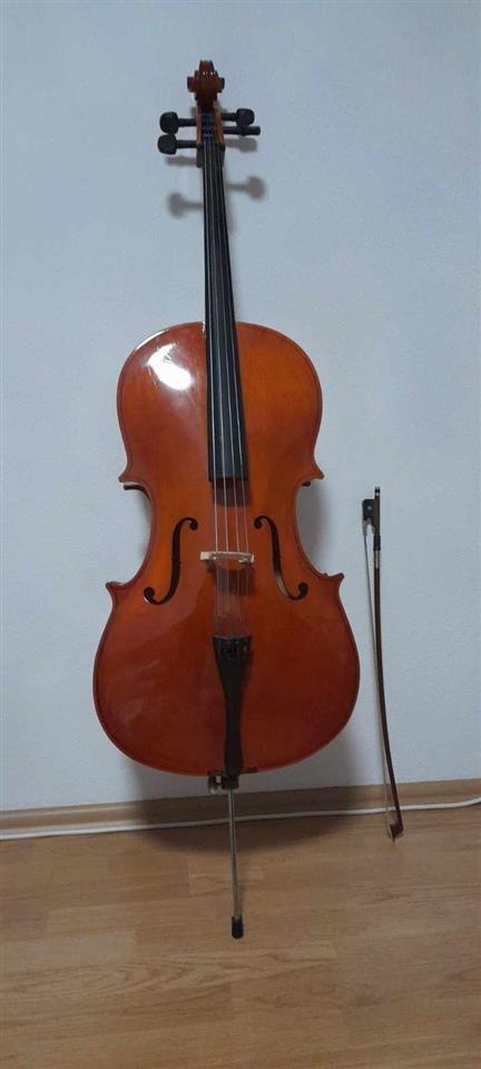 violincelo