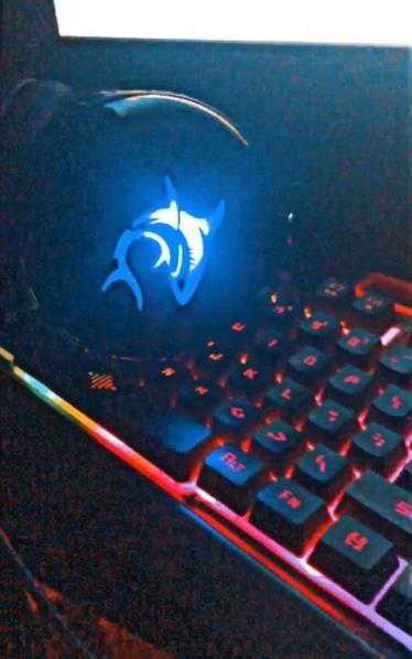 PC-GAMING