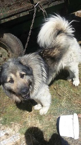 Karabash