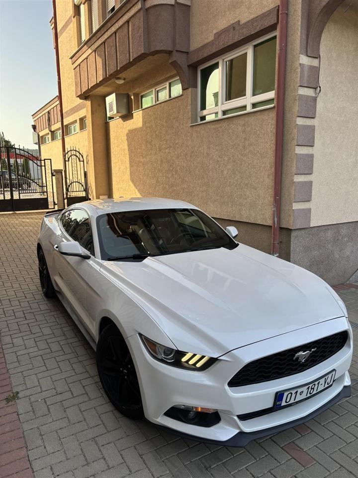 Mustang