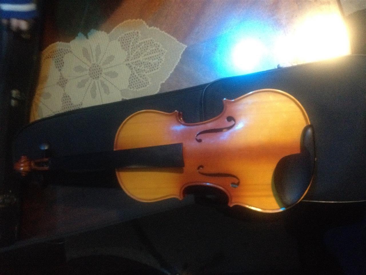 Violina
