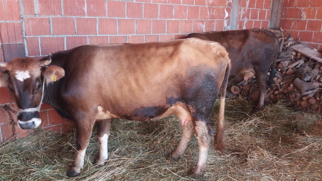 Lop-barsa