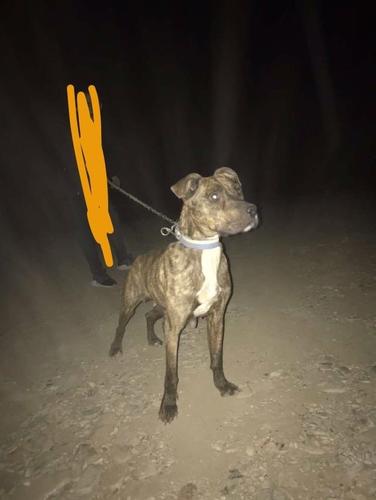apbt 