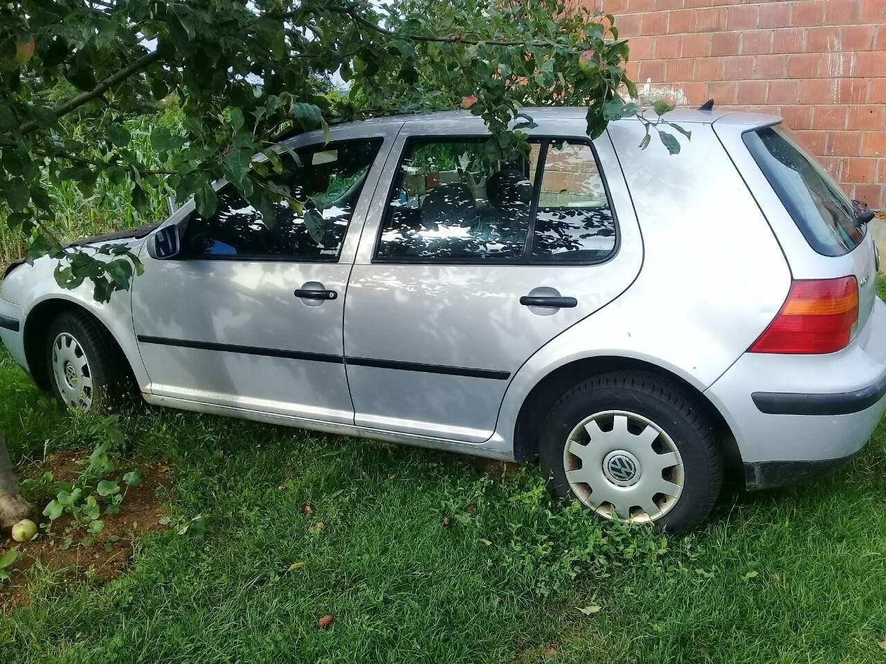 Golf-4