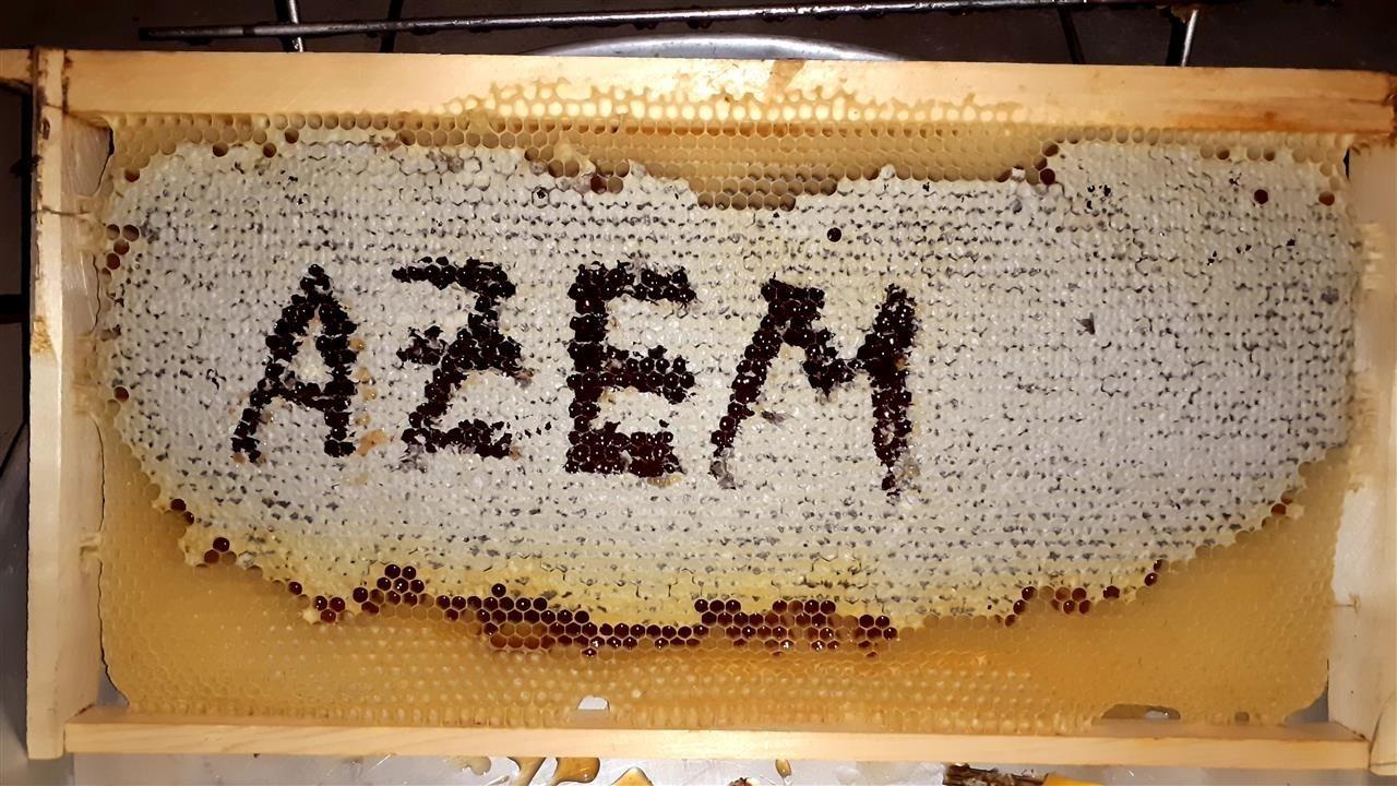 Mjaltë