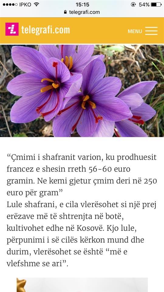Shafran