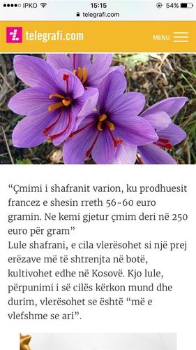 Shafran