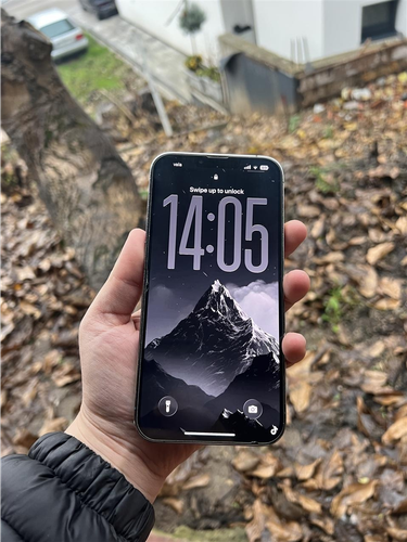 iPhone 13 Pro Max
