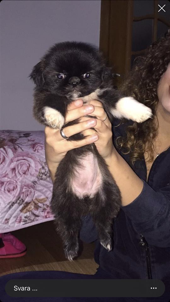 Pekinizer