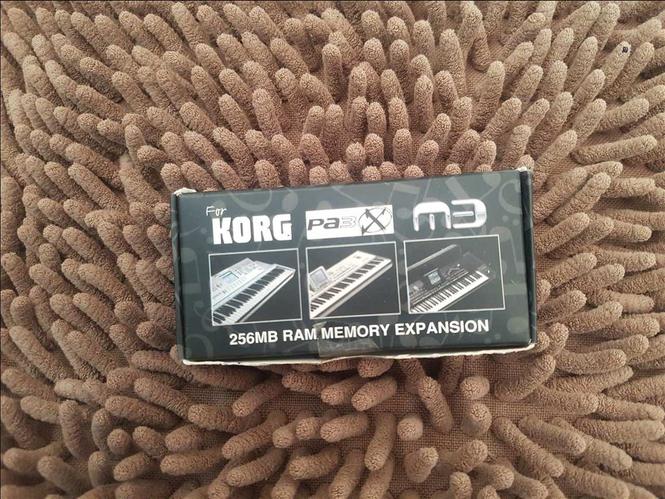 RAM MEMORY 256MB