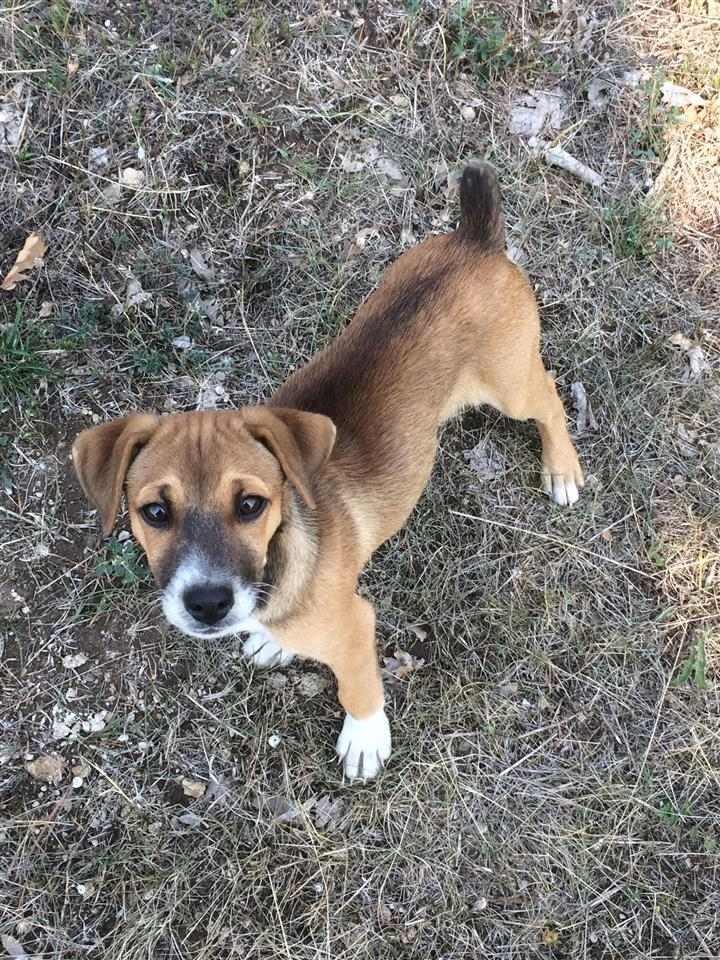 Roki