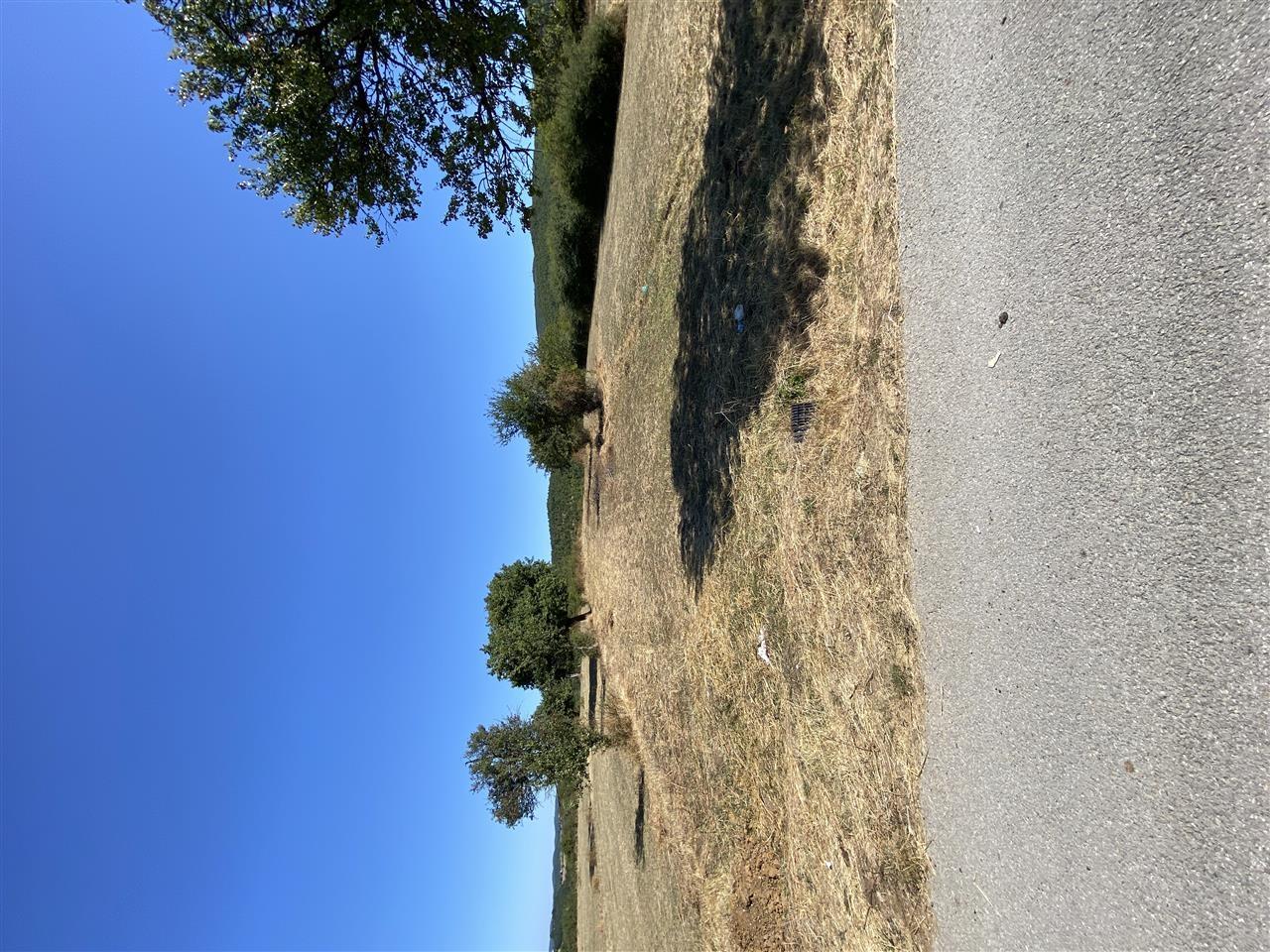 parcella-045608903