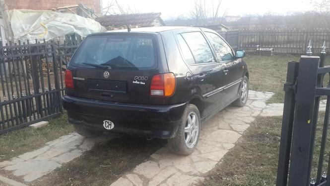 Polo