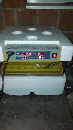Inkubator