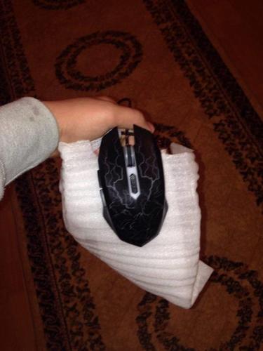 mouse