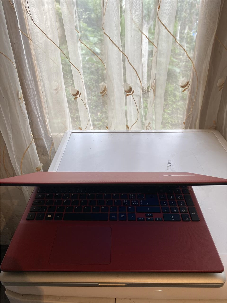 Acer-