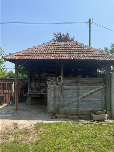 Koshi 