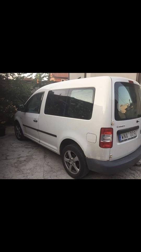 Shes-caddy-