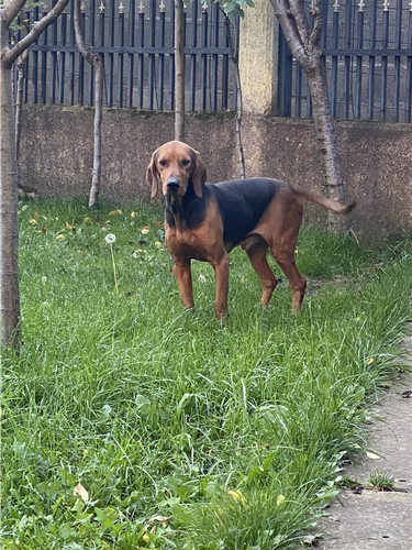 Zagar