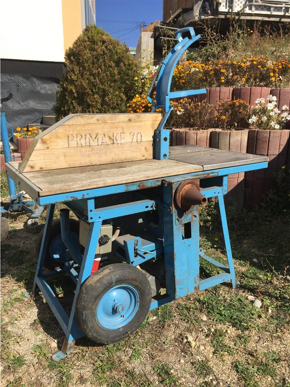 Cerkullar