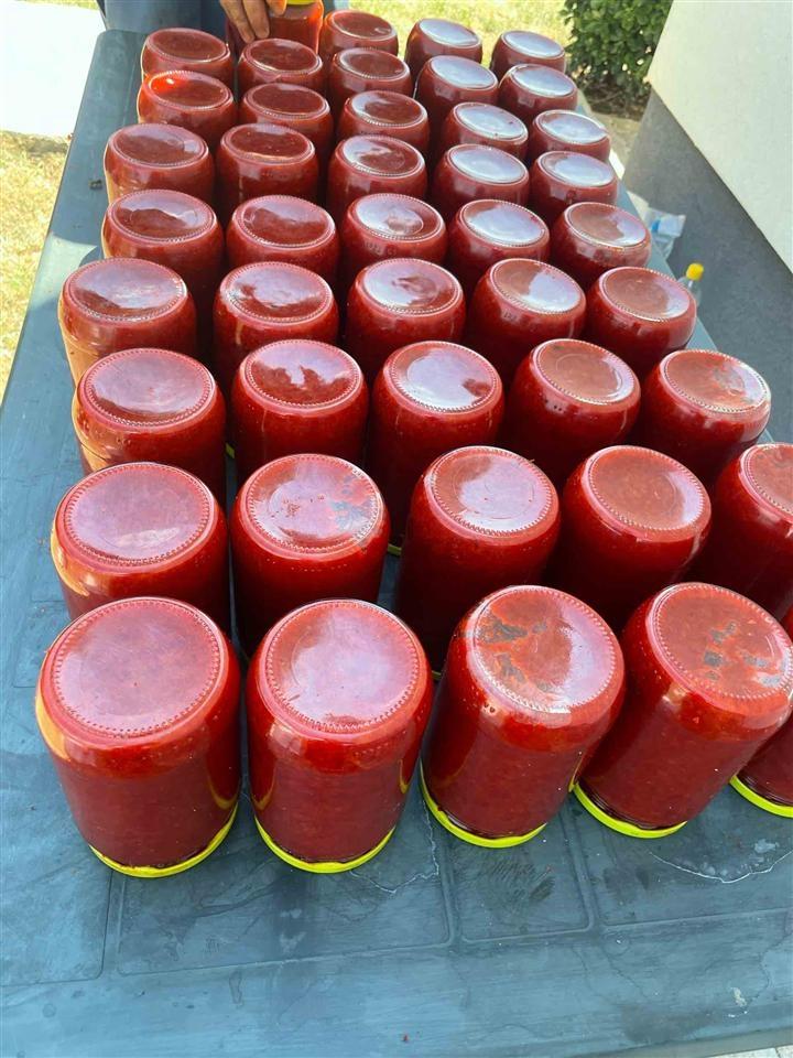 Ajvar-Bio-049-469-501