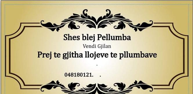Plluma blej e shes