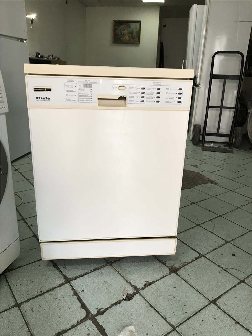 Enëlarse-Miele+i-terë