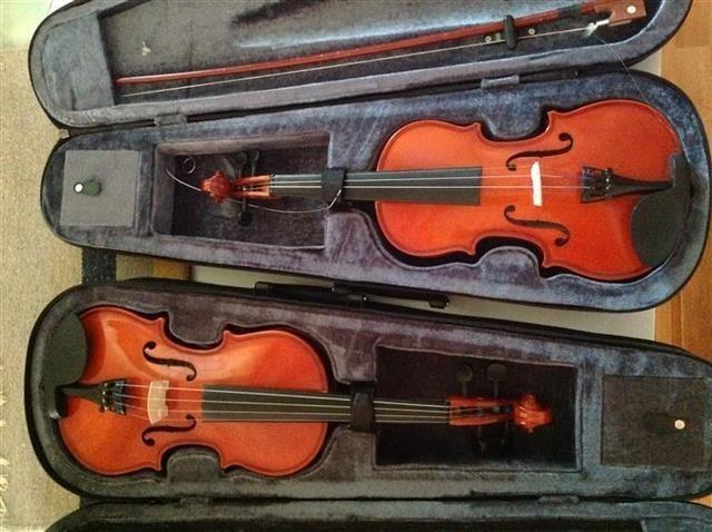 Violina