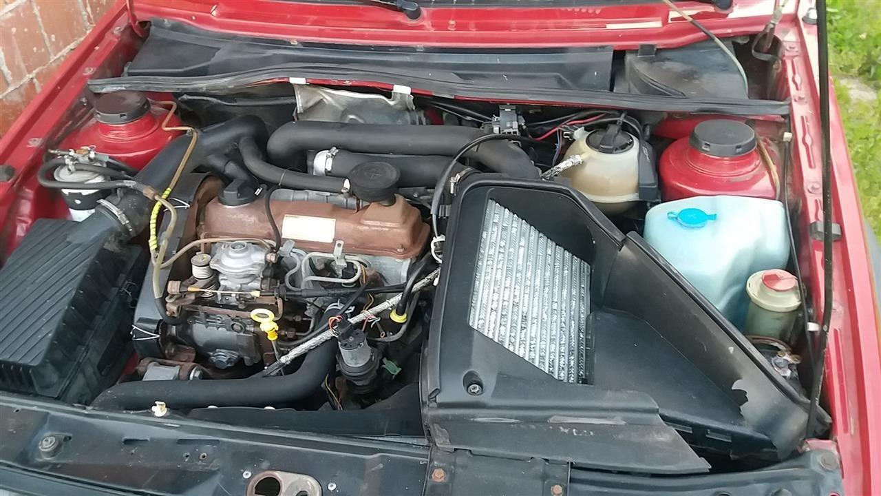 Jetta-