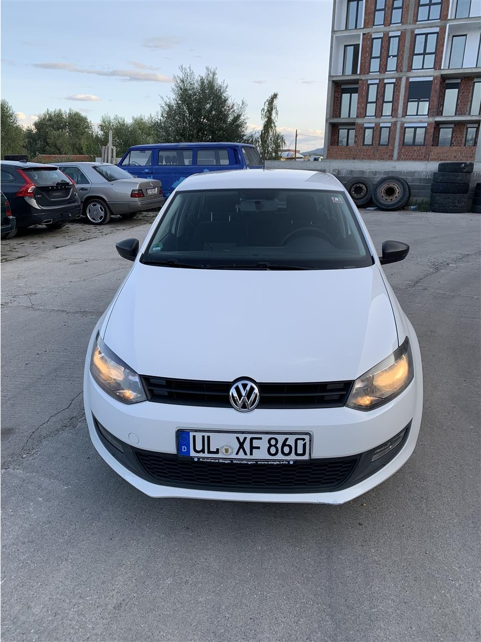 Polo
