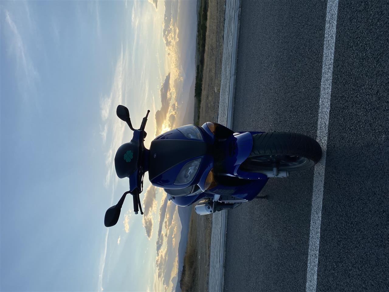 Shitet-Yamaha-Maxster