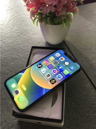 iphone 12 Pro  CE