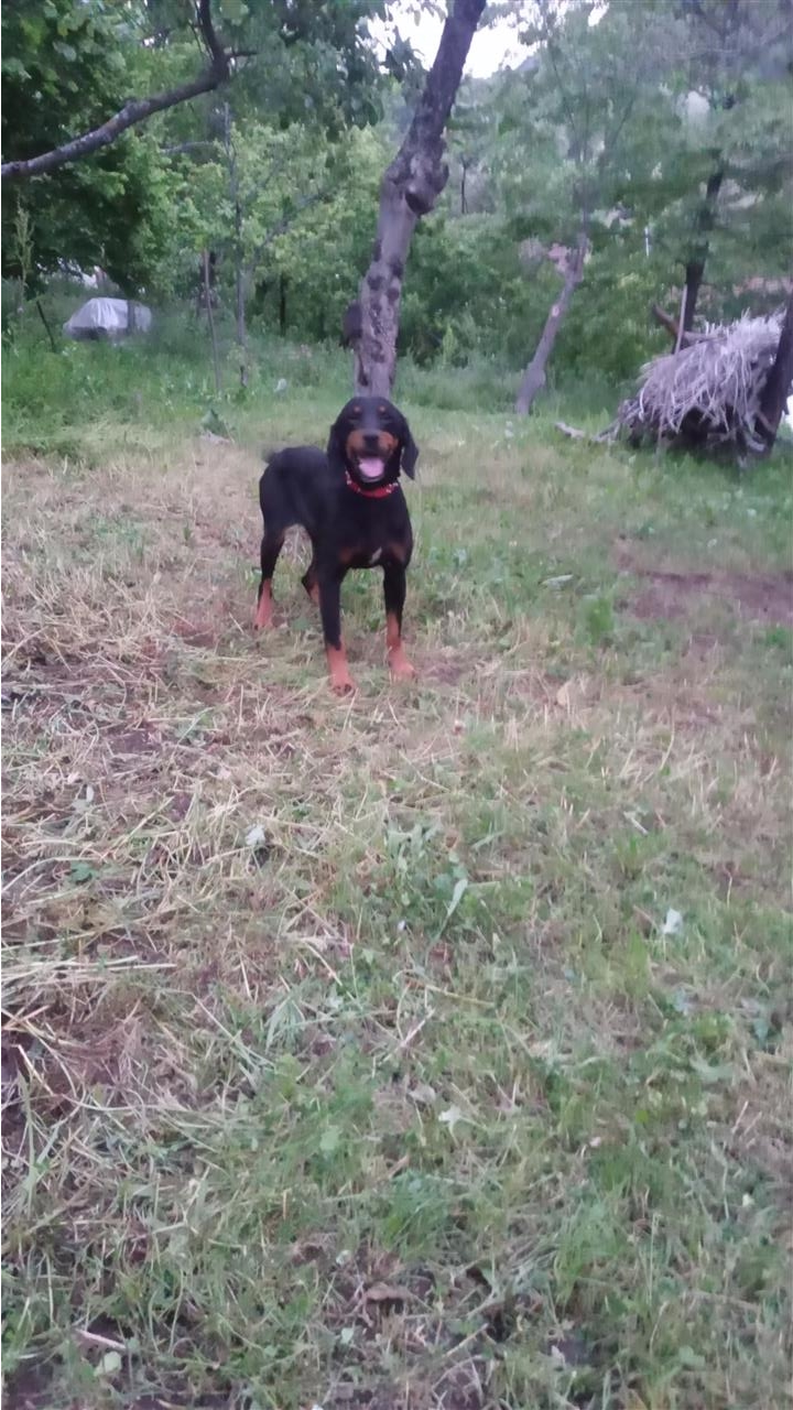 Zagar