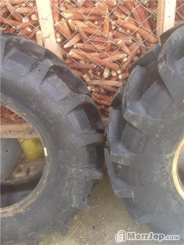 Goma